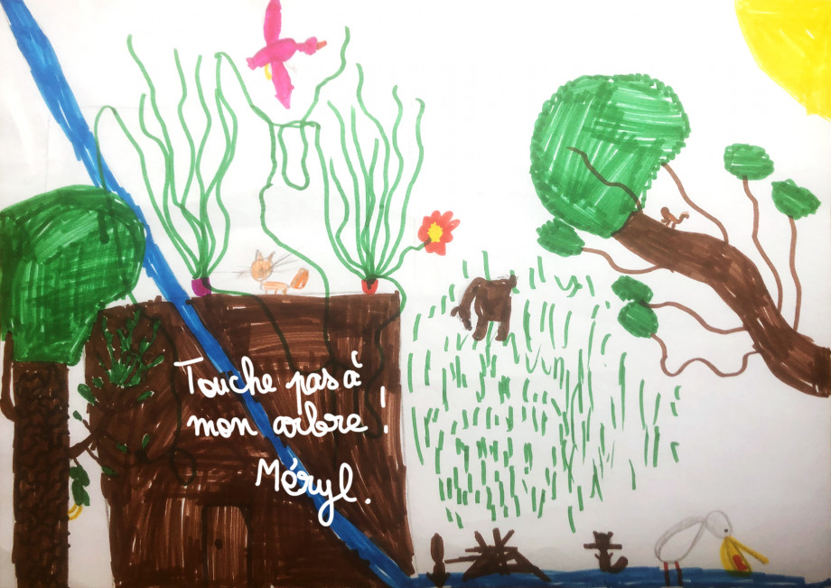 Forêt_Méryl_12JUIN2024_.jpg